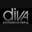 diva professional styling