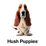 Hush Puppies