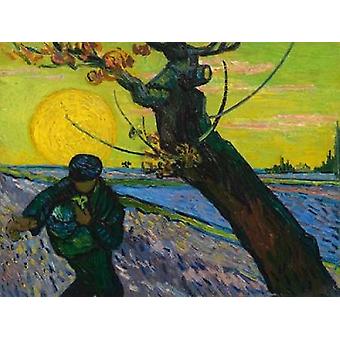 The sower Poster Print by Vincent van Gogh