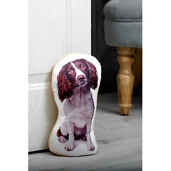 Urocza Springer spaniel progiem